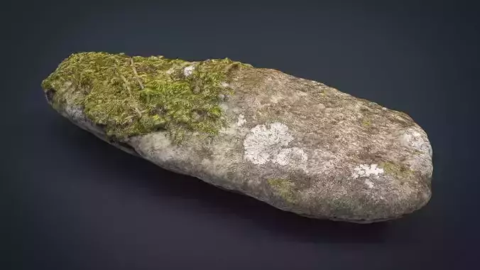 REAL STONE 13 MOSSY HIGH AND LOW POLY 8K Low-poly 3D model