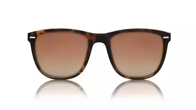 Eyeglasses for Men and Women 3D print model