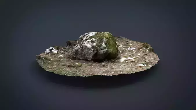 Real Stone 14 mossy 8k 3D model