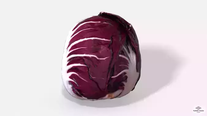 Vegetable Red Chicory - Photoscanned PBR