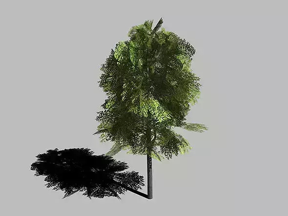 low-poly 3D model ash trees