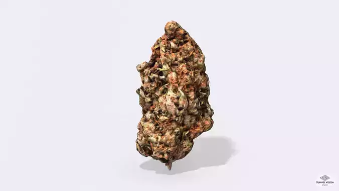 Marijuana Bud 2 - Photoscanned PBR