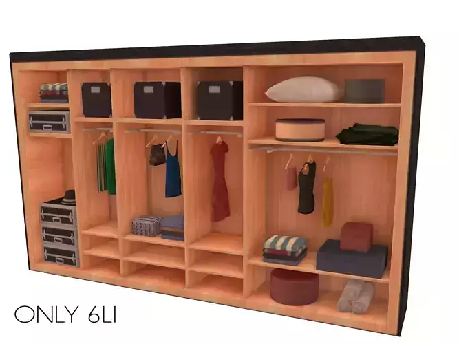 Walking Wardrobe Shelves Set