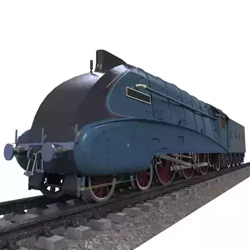 Mallard Train Low-poly 3D model