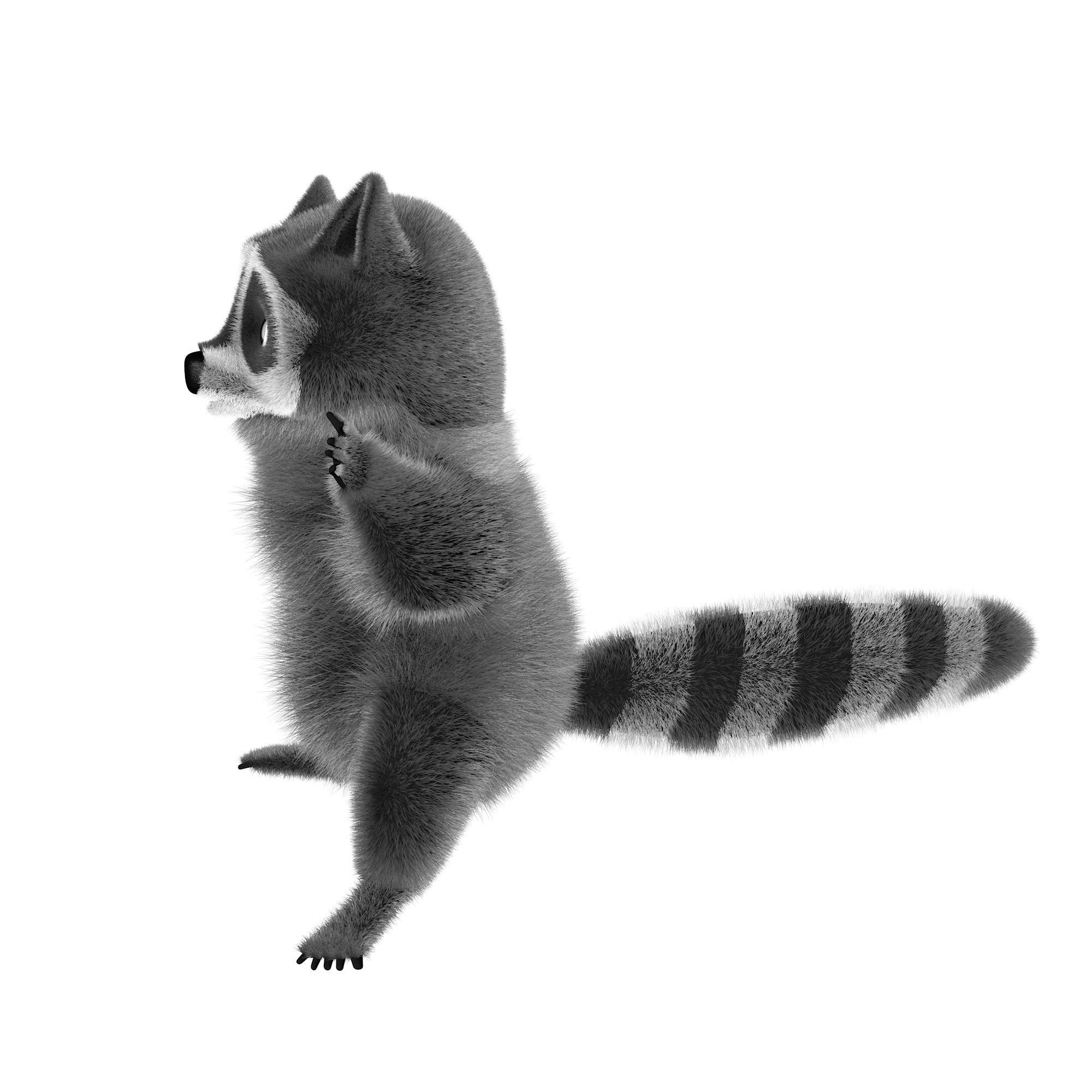 Raccoon character  cartoon 3D model_4
