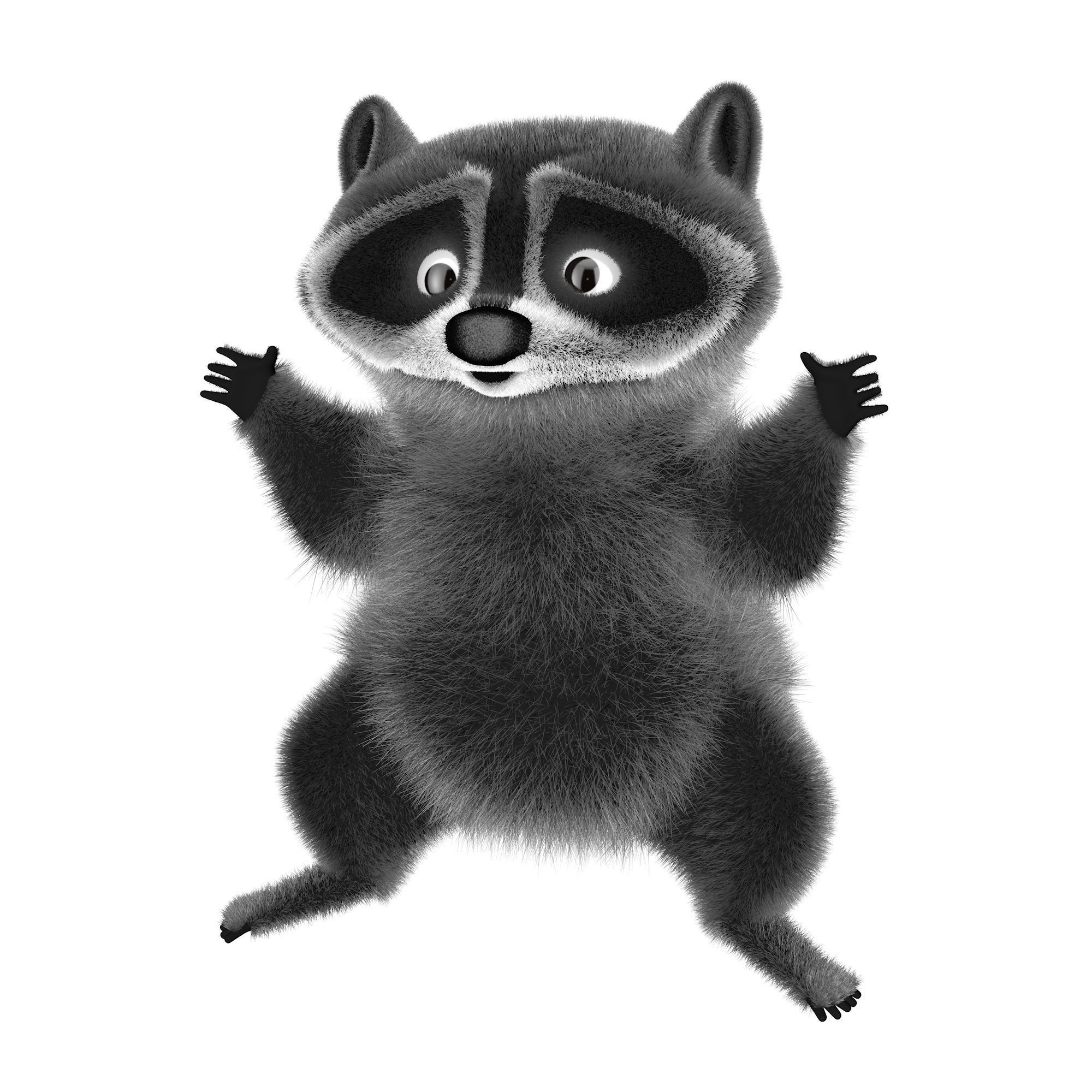 Raccoon character  cartoon 3D model_2
