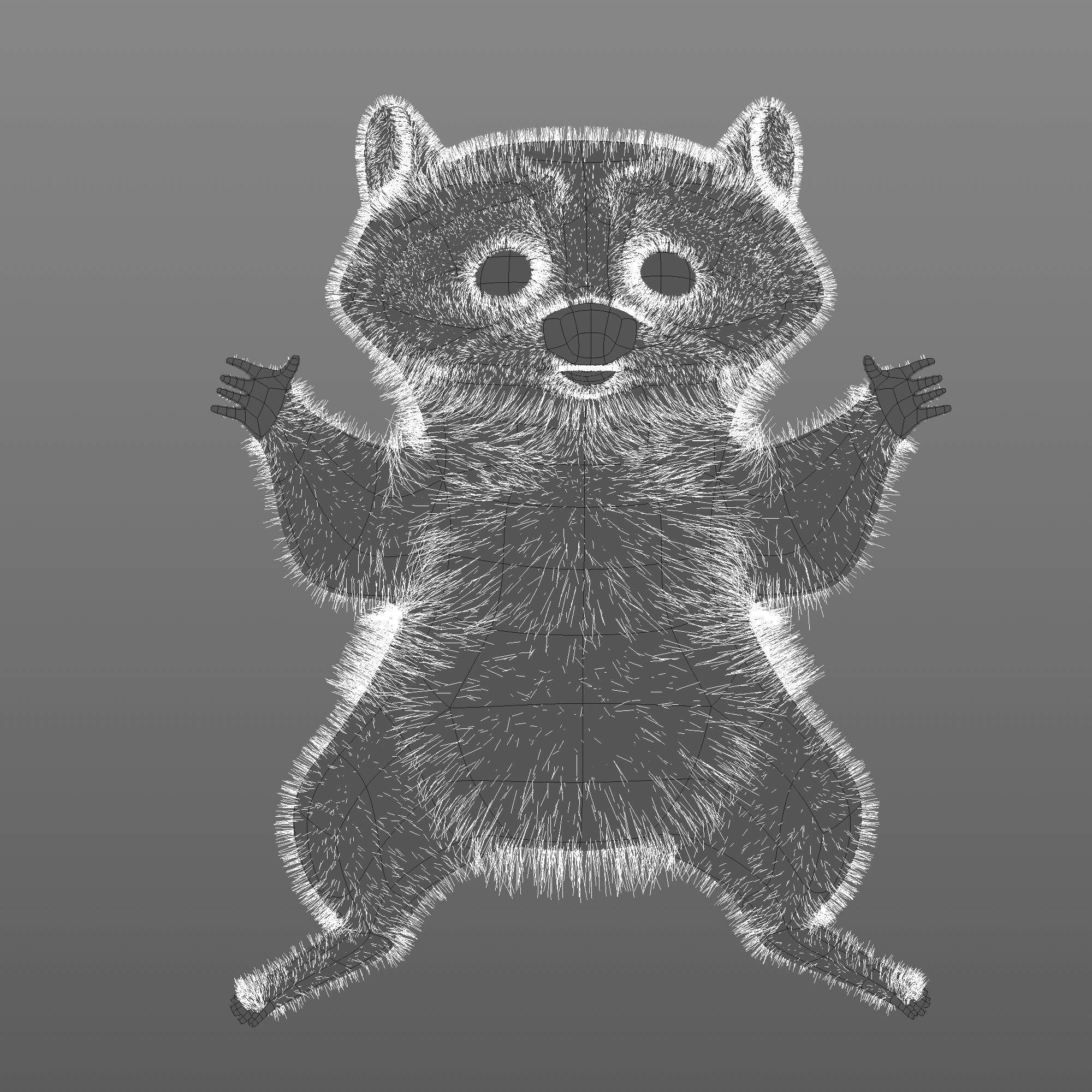 Raccoon character  cartoon 3D model_12