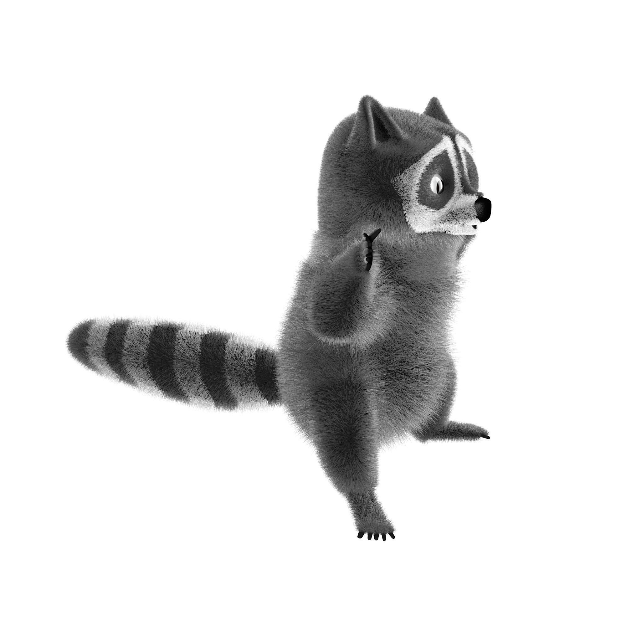Raccoon character  cartoon 3D model_8