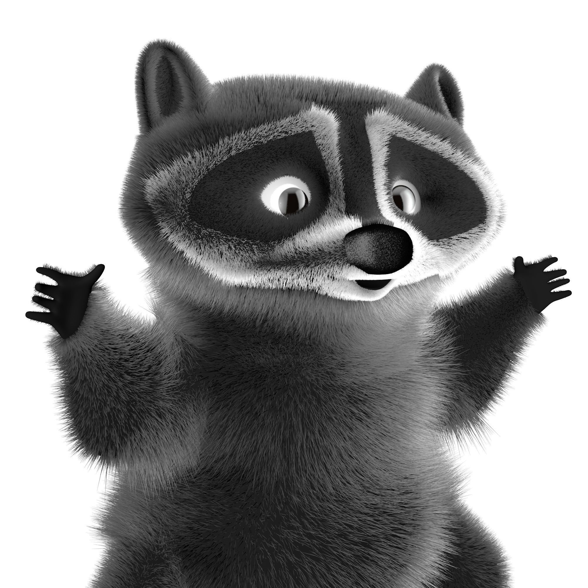 Raccoon character  cartoon 3D model_10