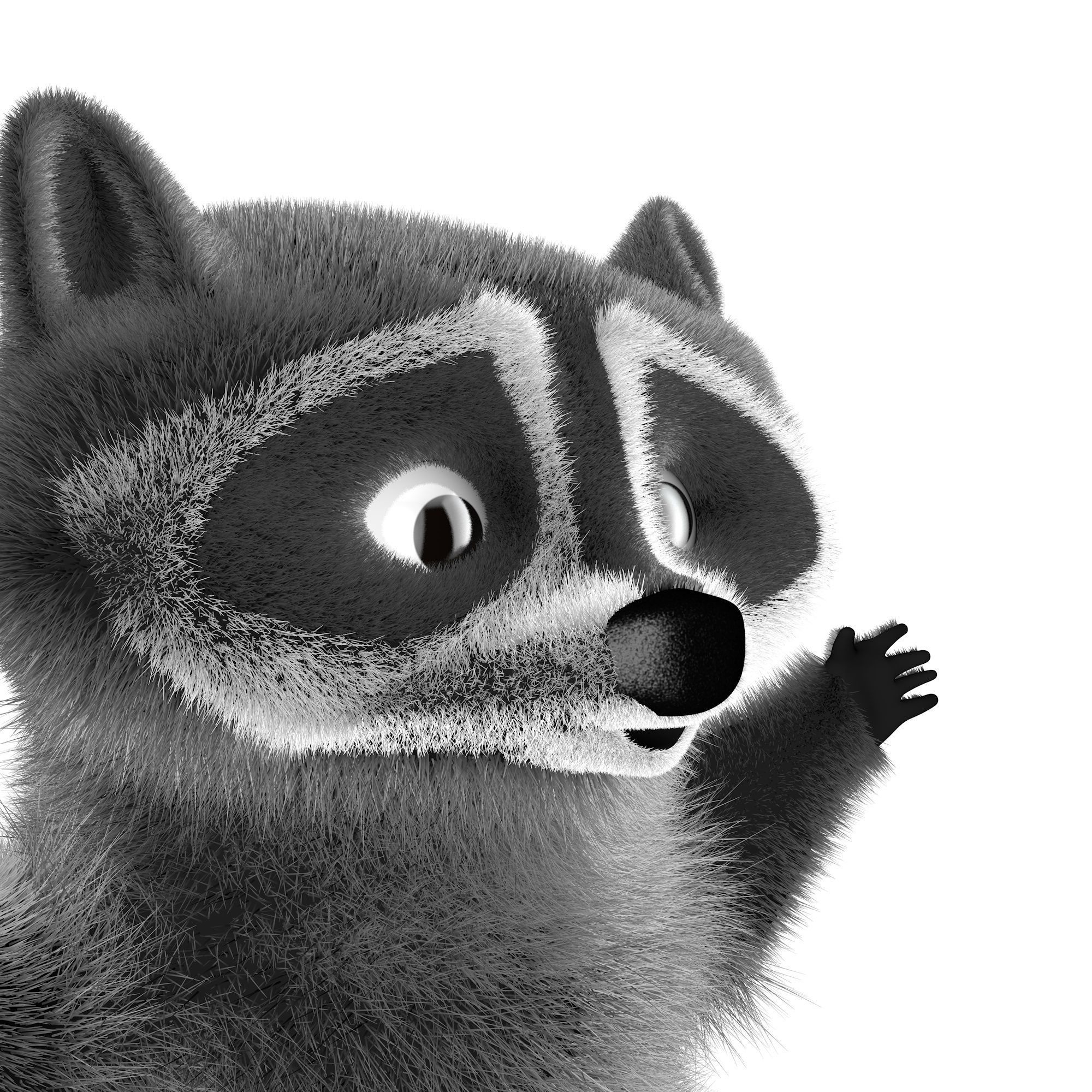 Raccoon character  cartoon 3D model_9