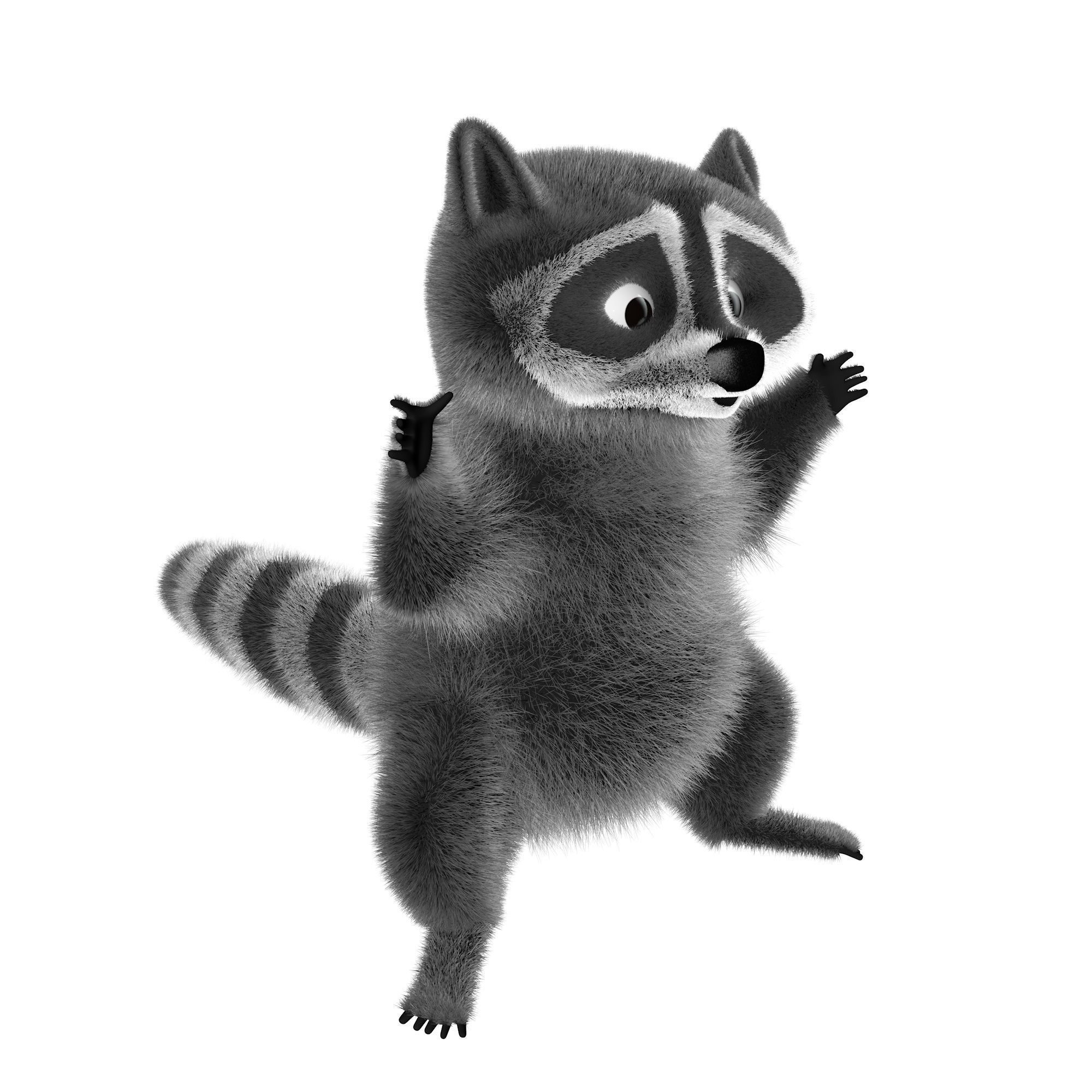 Raccoon character  cartoon 3D model_11