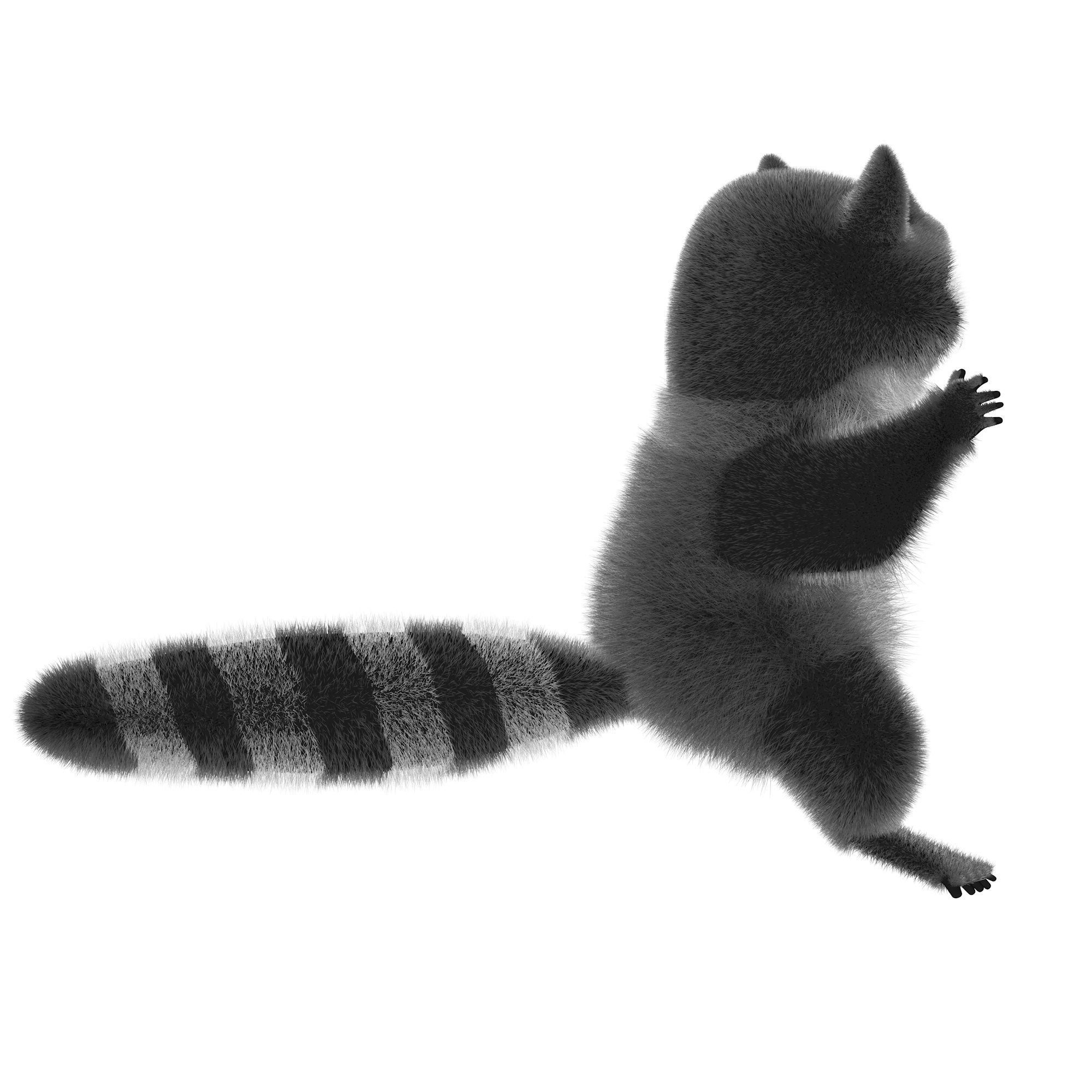 Raccoon character  cartoon 3D model_7