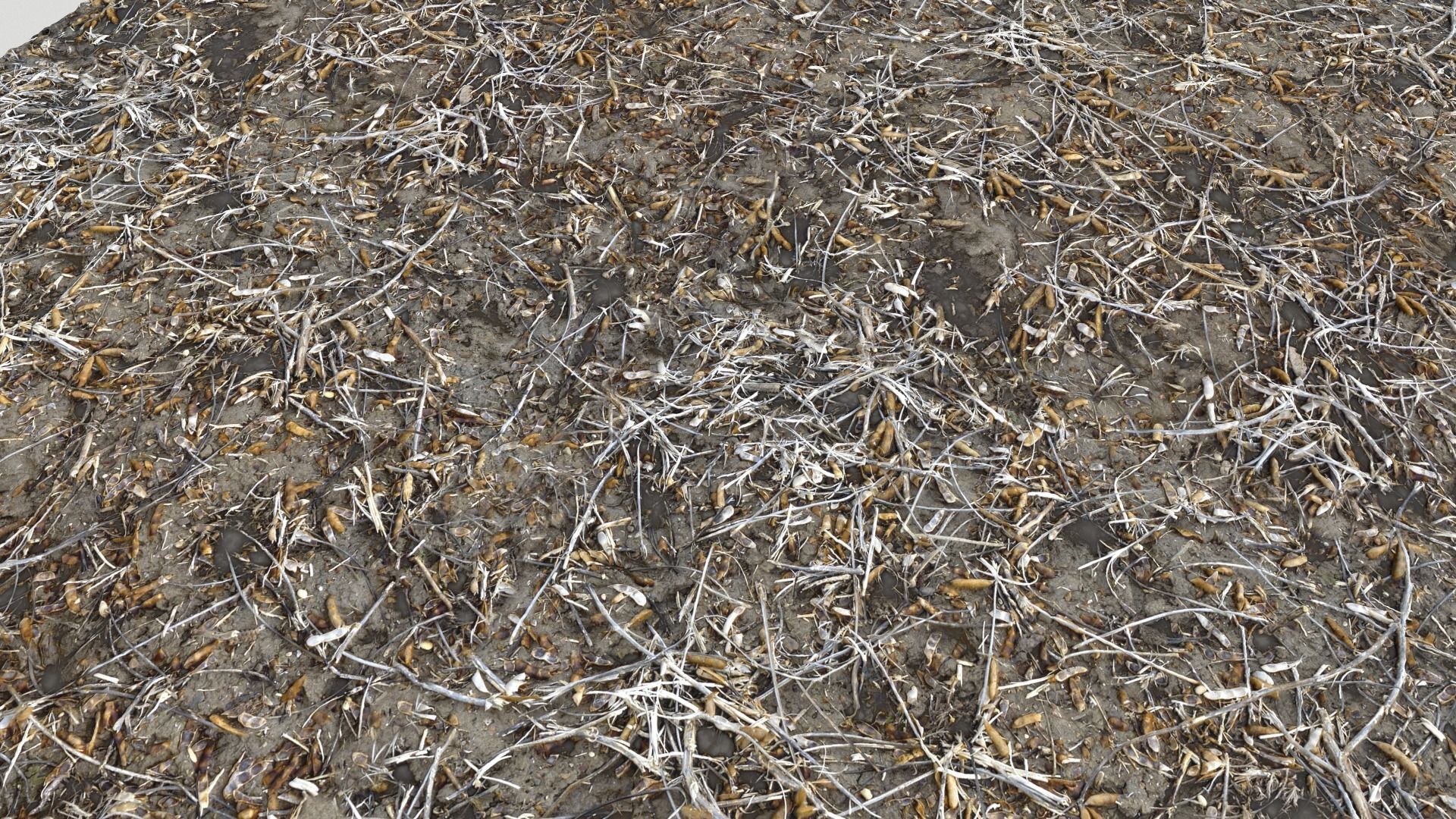 Dirty wet ground PBR Pack 1 Texture_6