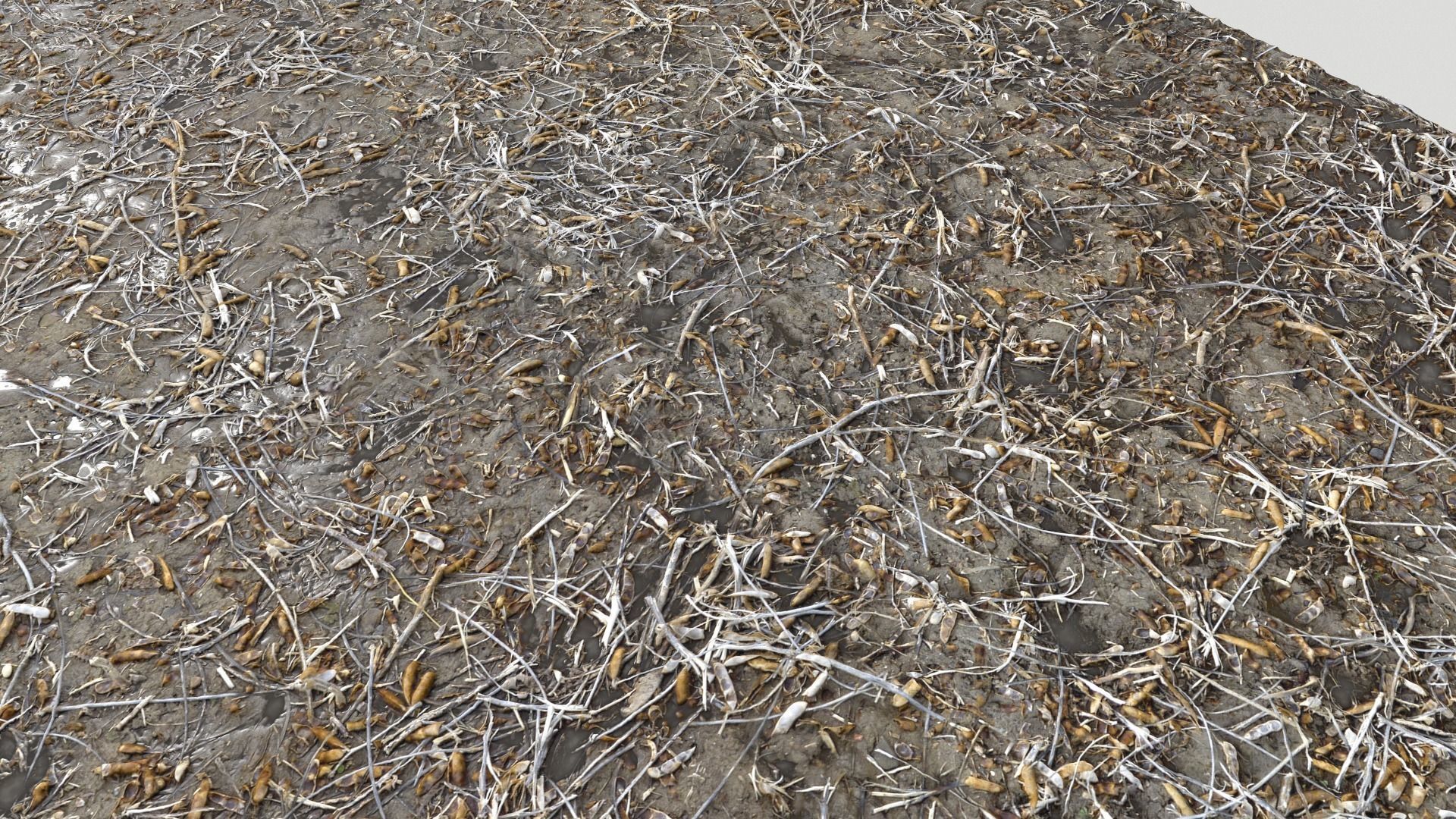 Dirty wet ground PBR Pack 1 Texture_8