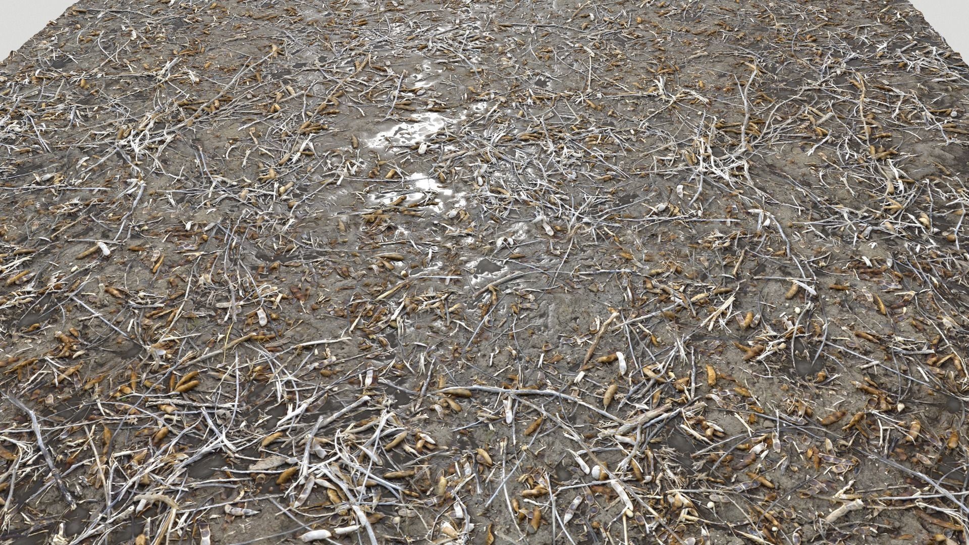 Dirty wet ground PBR Pack 1 Texture_7