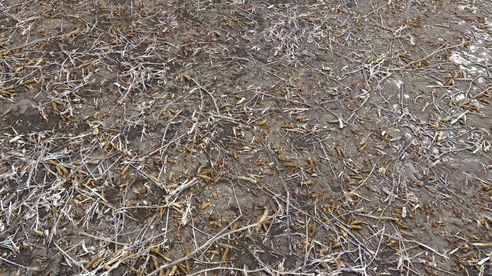 Dirty wet ground PBR Pack 1 Texture_0