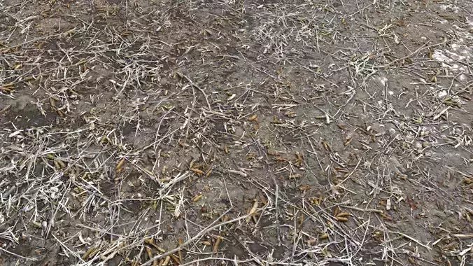 Dirty wet  ground PBR Pack 1