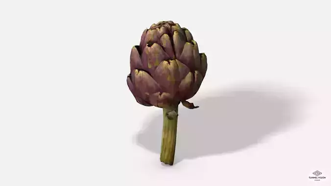 Vegetable Artichoke - Photoscanned PBR