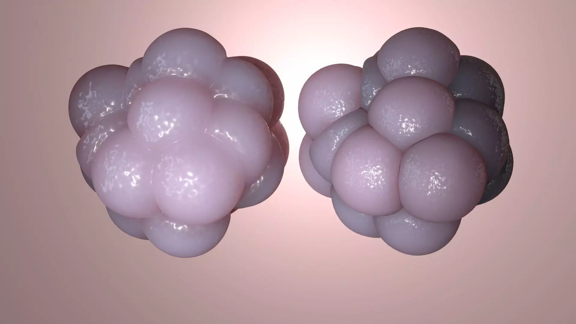 Cellular cluster 3D model_0