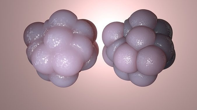 Cellular cluster 3D model