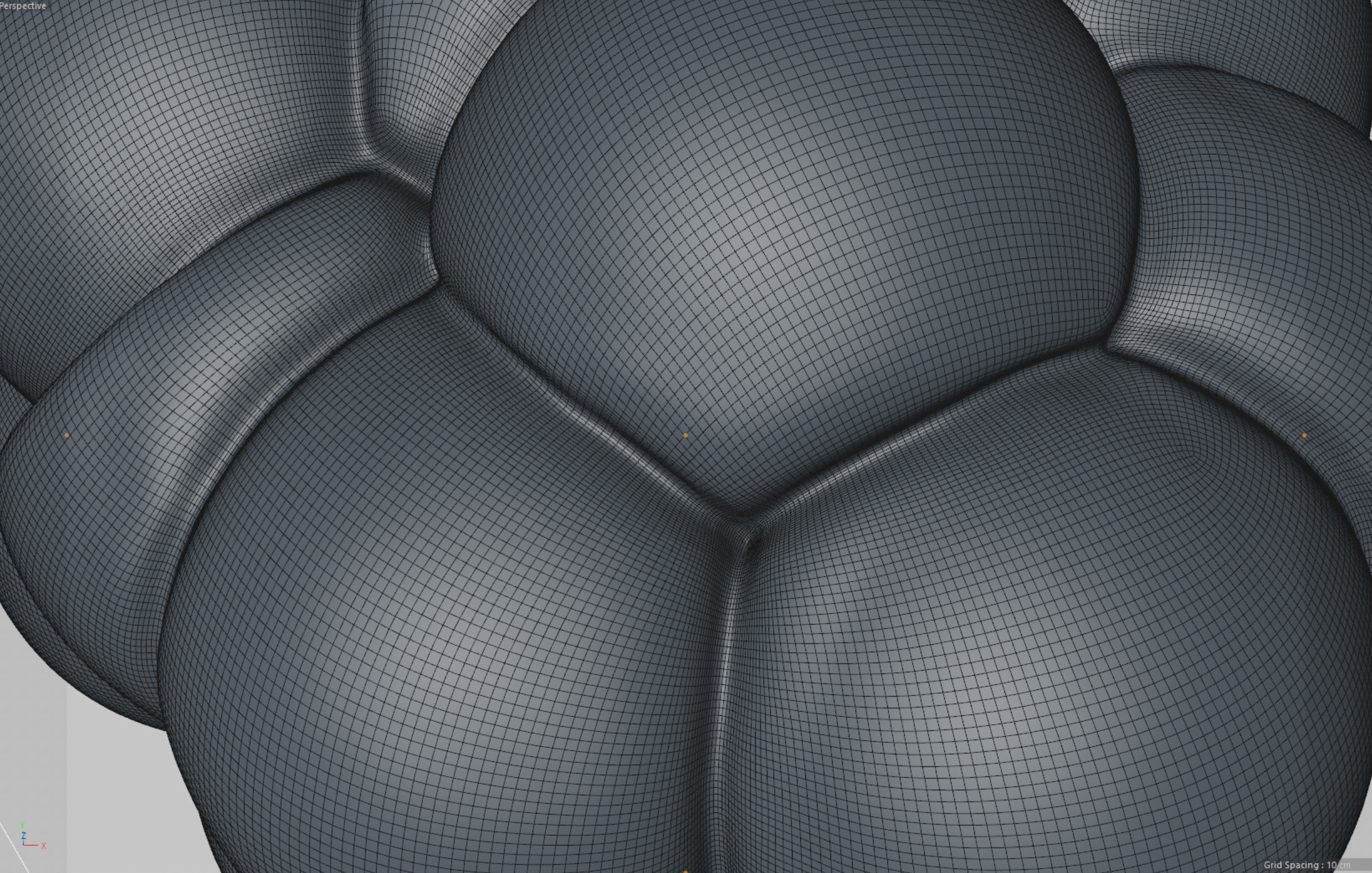 Cellular cluster 3D model_6