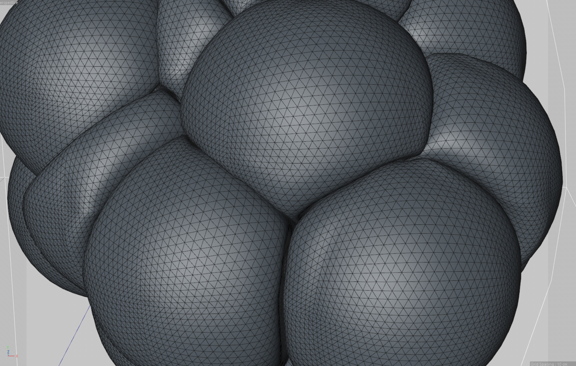 Cellular cluster 3D model_5