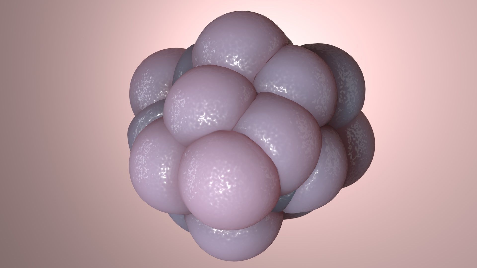 Cellular cluster 3D model_2