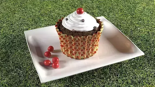 cake fbx chocolate cupcake on plate