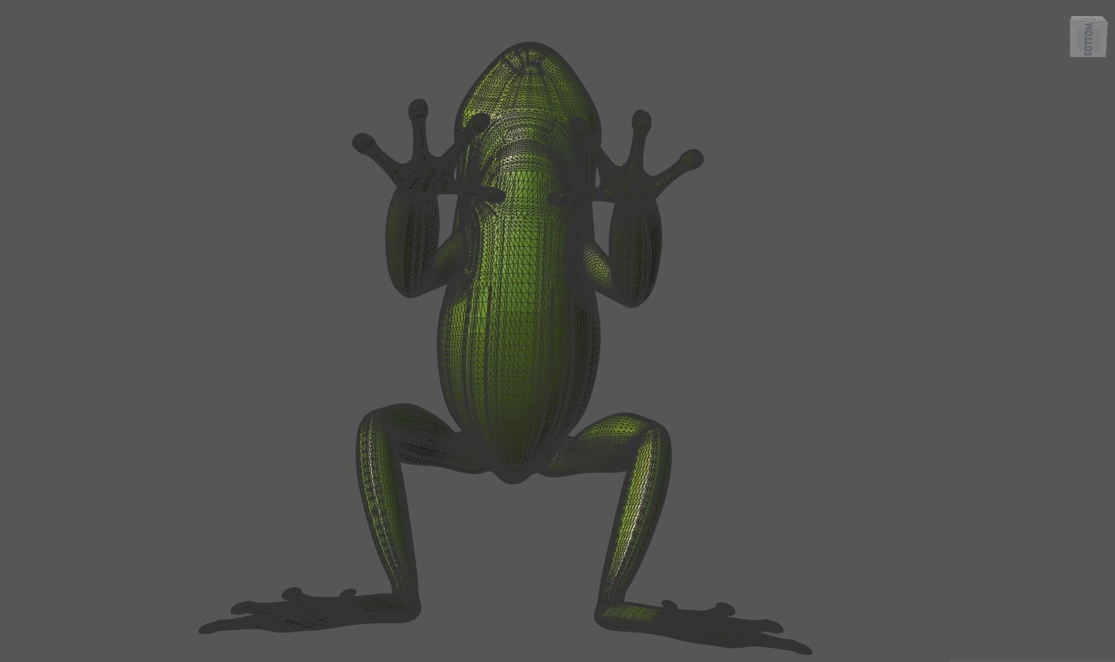 3DPS Frog Pendant 3D print model_32