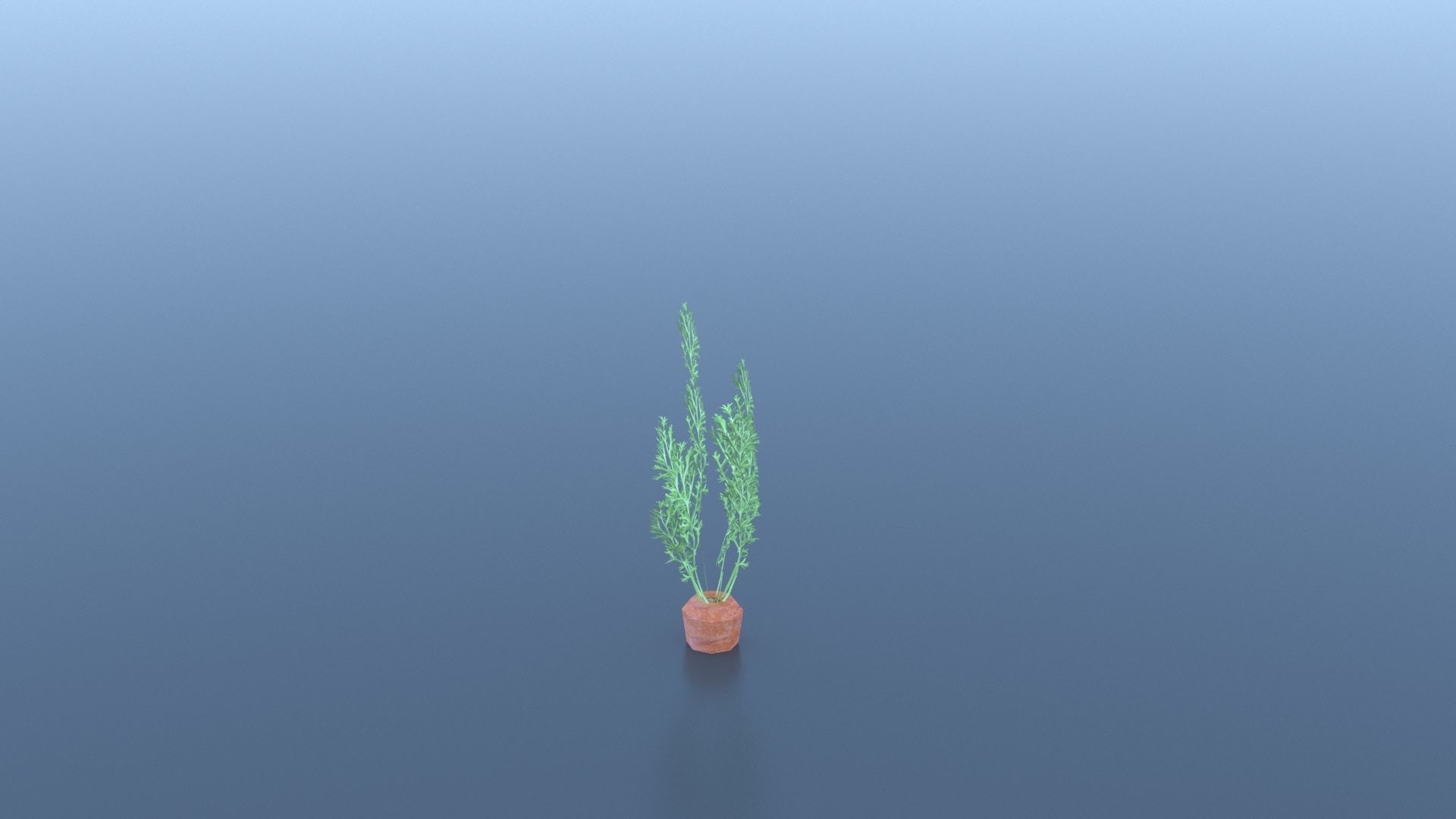 Carrot plant Free low-poly 3D model_2
