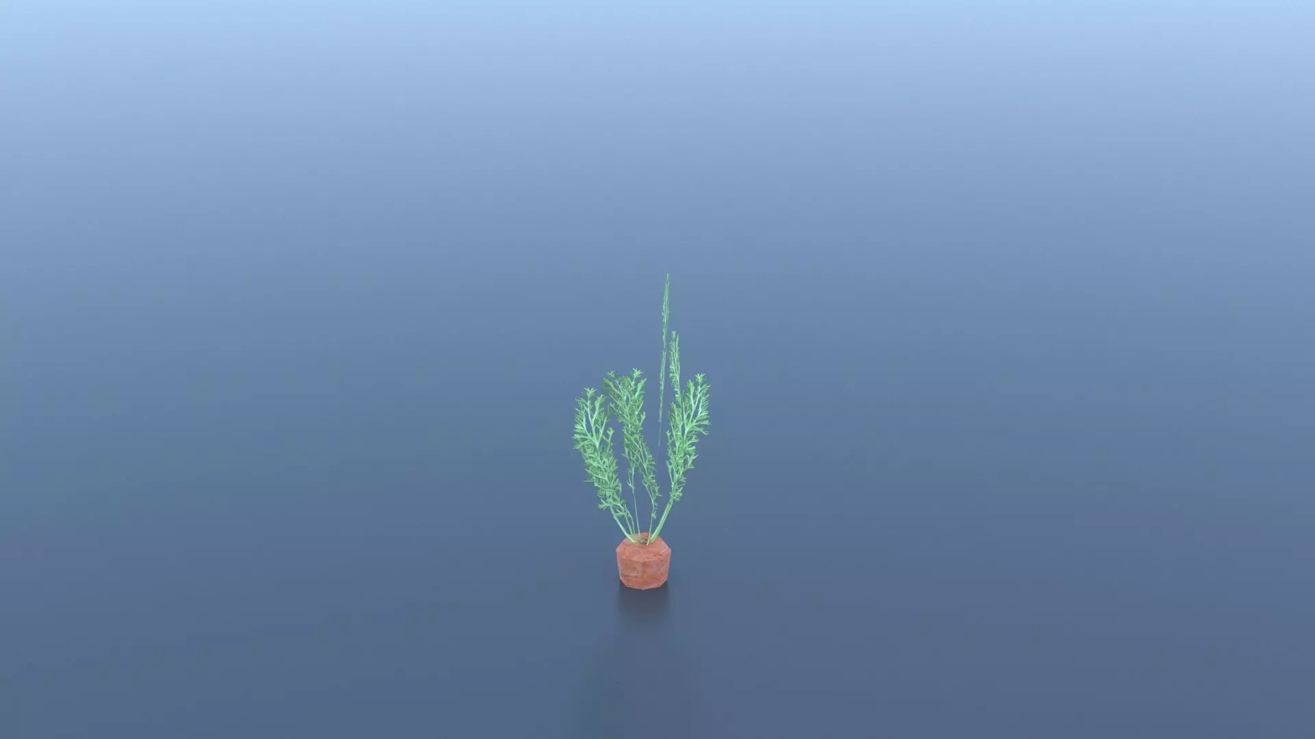 Carrot plant Free low-poly 3D model_0