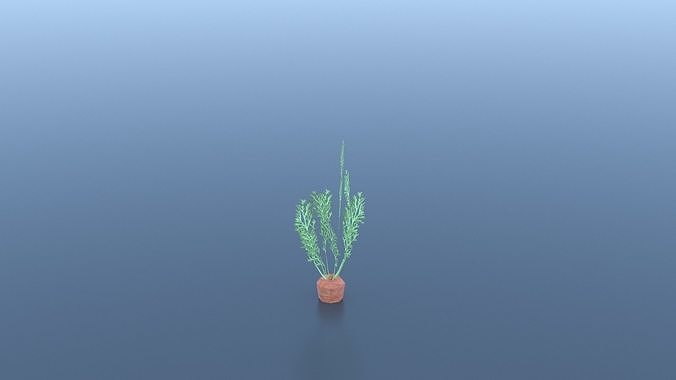 Carrot plant Free low-poly 3D model