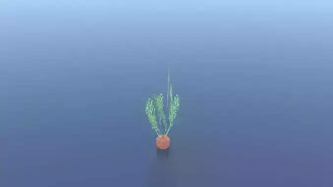 Carrot plant Free low-poly 3D model