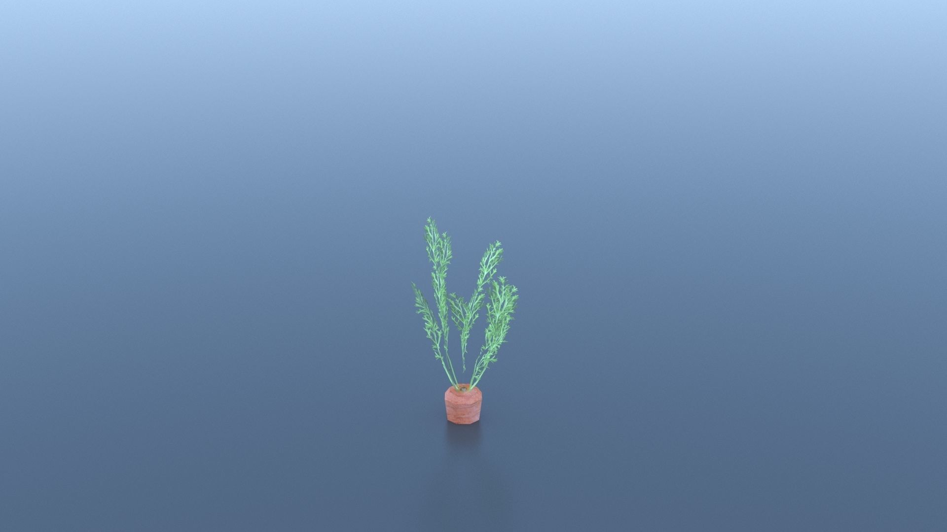 Carrot plant Free low-poly 3D model_3