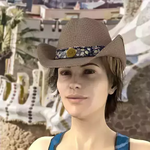 Cowgirl Hat Package 3D model