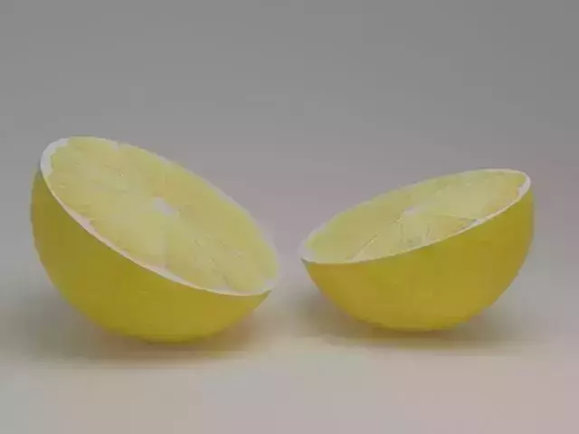 Lemon two lemons cut
