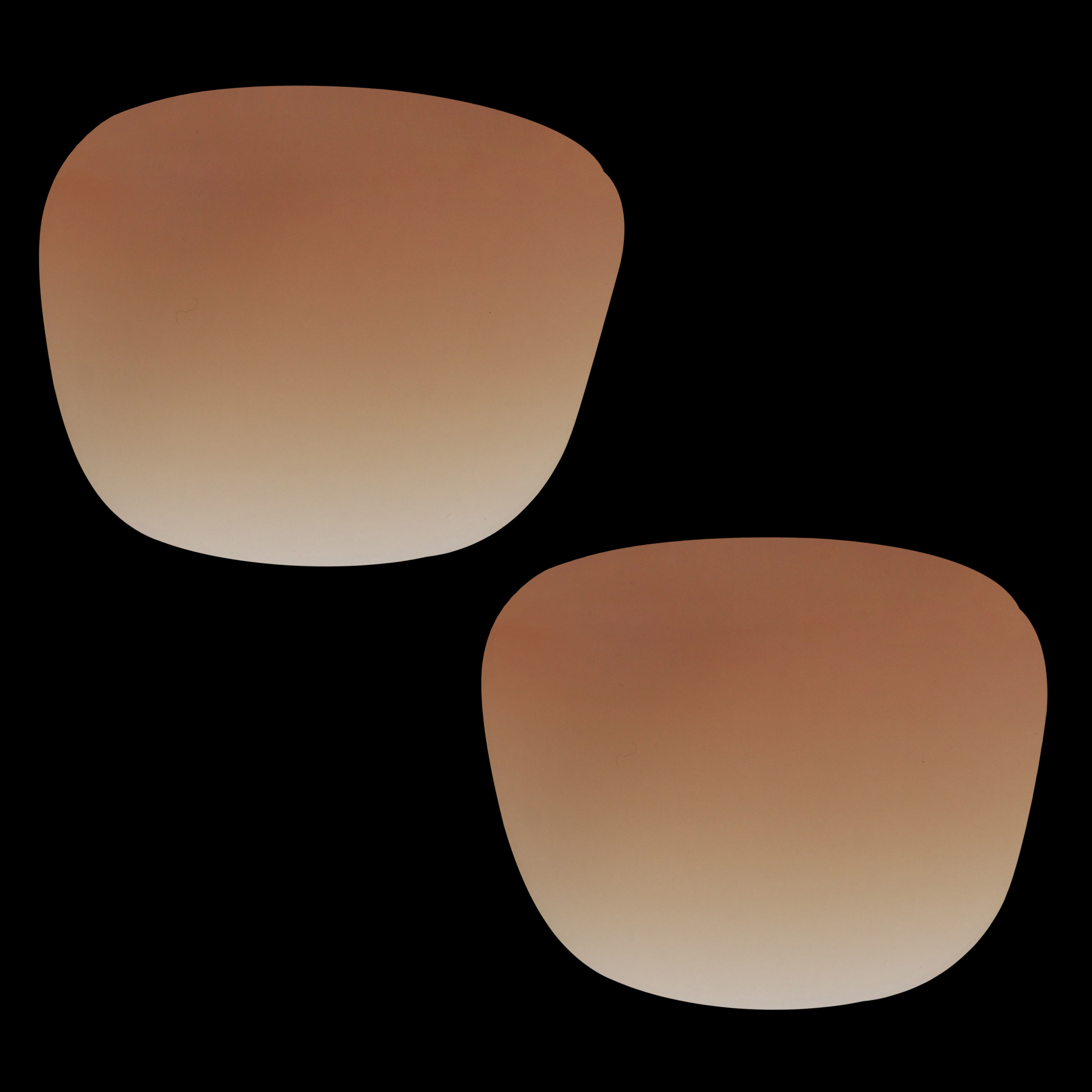 Eyeglasses for Men and Women 3D print model_13