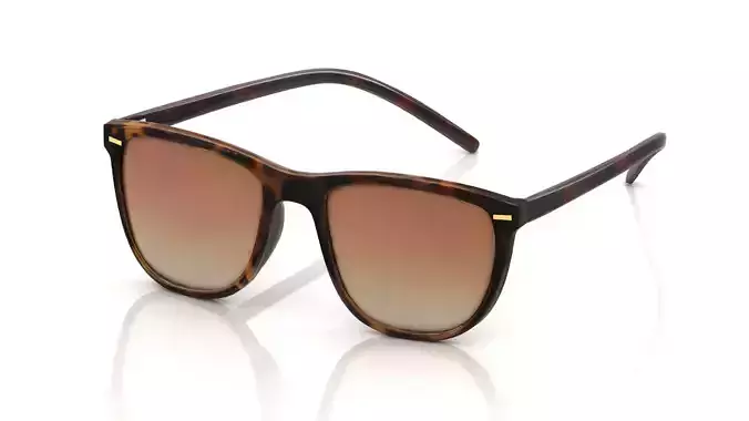 Eyeglasses for Men and Women 3D print model