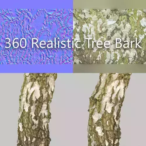 360 Tree Bark 4