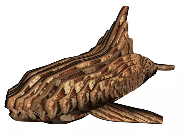 wooden killer whale Free 3D model_0