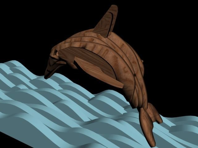 dolphin Free 3D model_2