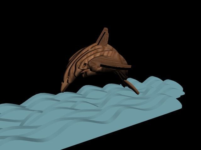 dolphin Free 3D model_3