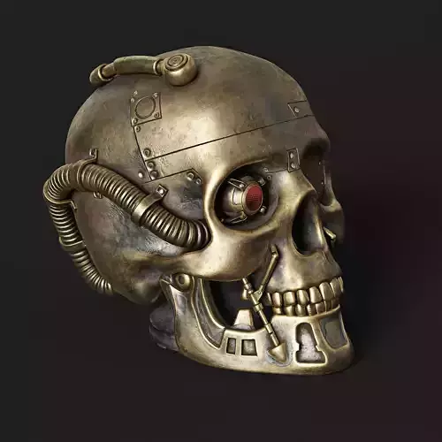 Steampunk Skull 3D model