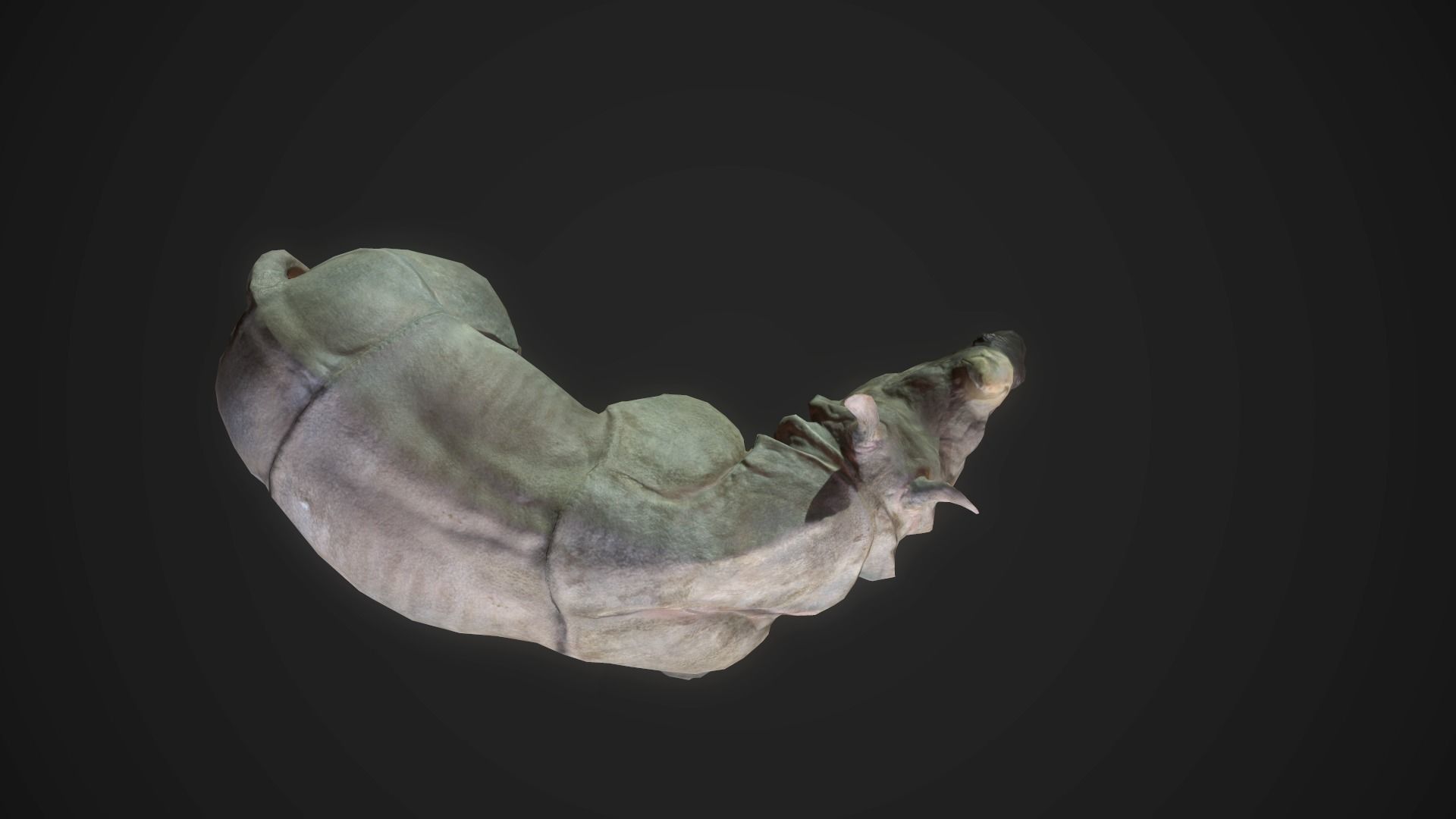 Indian Rhinoceros - Game Ready Low-poly 3D model_9