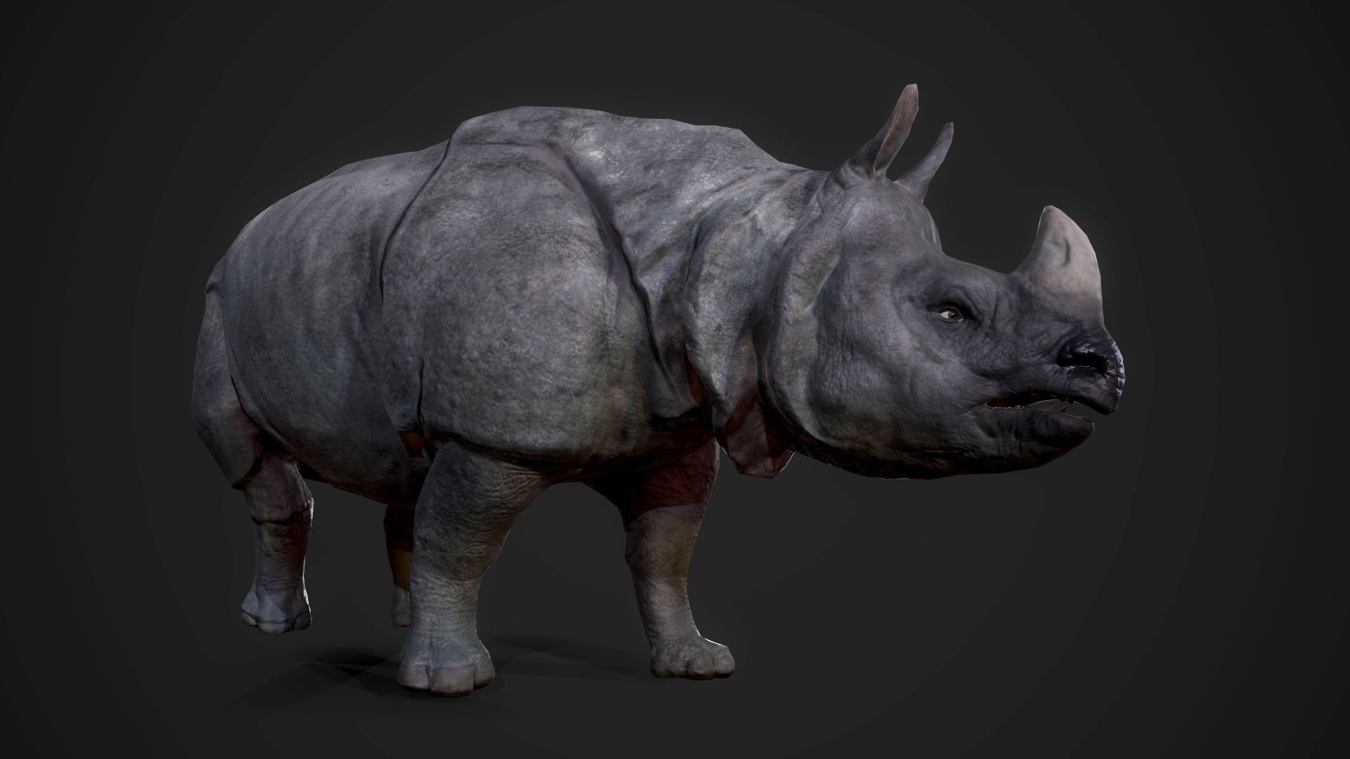 Indian Rhinoceros - Game Ready Low-poly 3D model_4