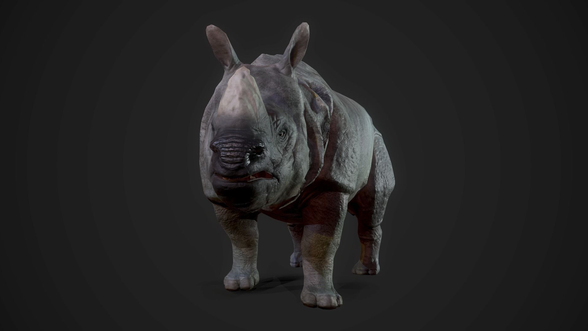 Indian Rhinoceros - Game Ready Low-poly 3D model_3