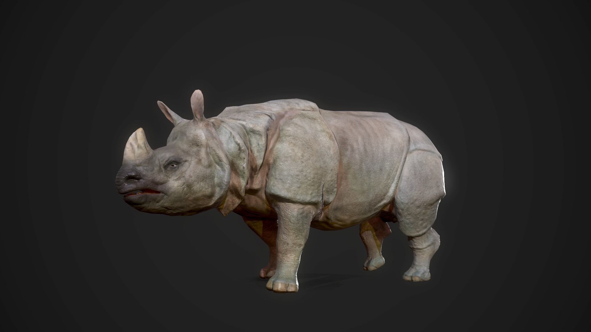 Indian Rhinoceros - Game Ready Low-poly 3D model_7
