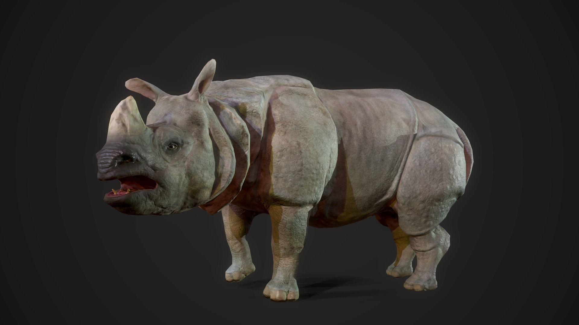 Indian Rhinoceros - Game Ready Low-poly 3D model_11