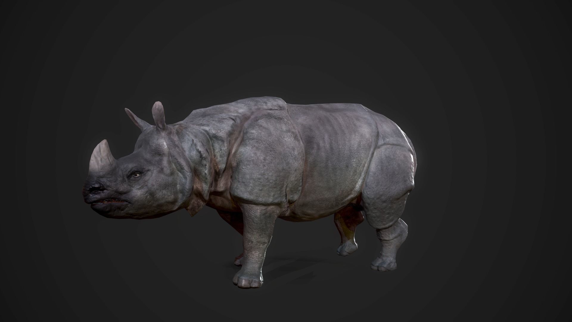 Indian Rhinoceros - Game Ready Low-poly 3D model_6