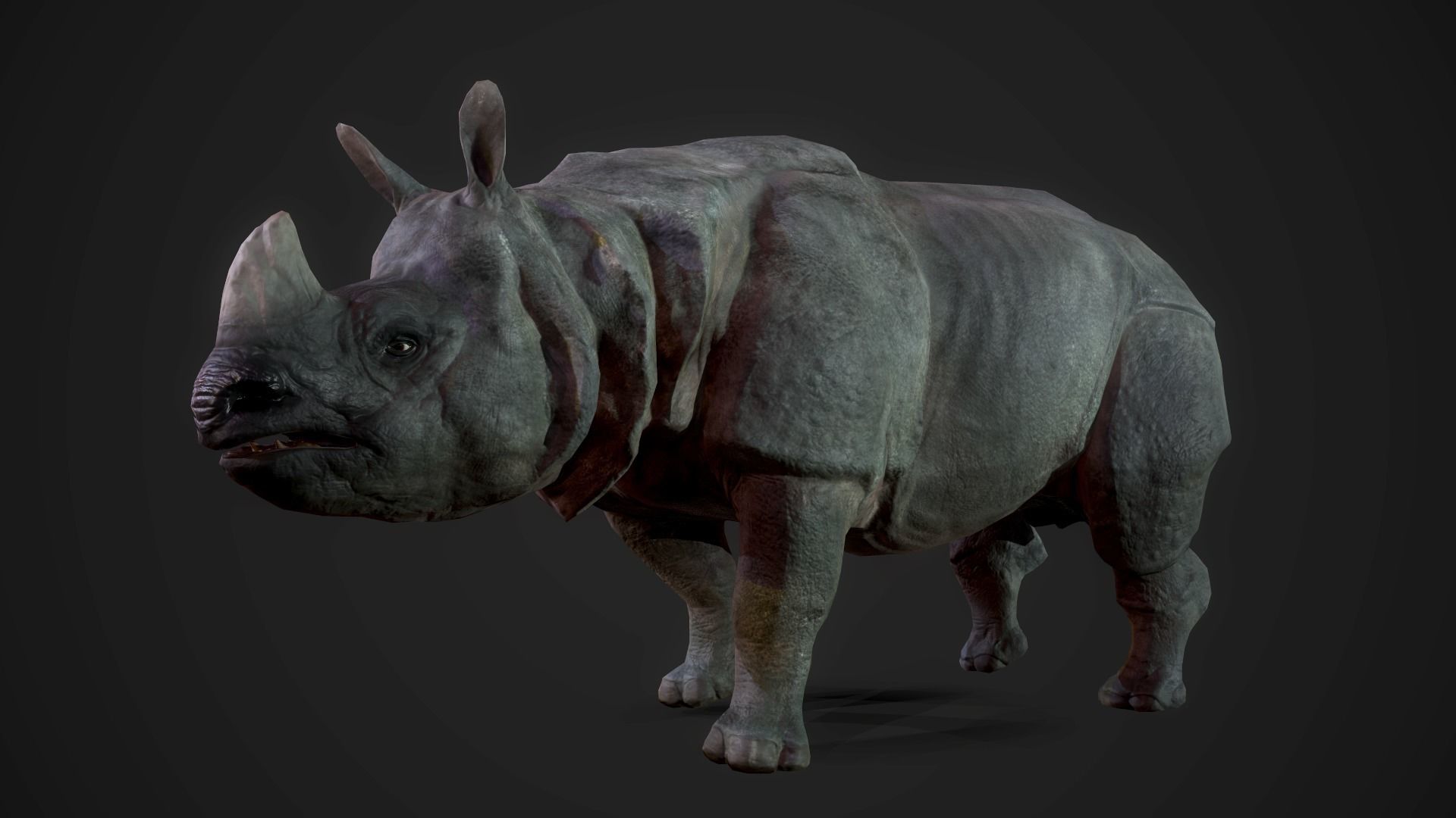 Indian Rhinoceros - Game Ready Low-poly 3D model_2